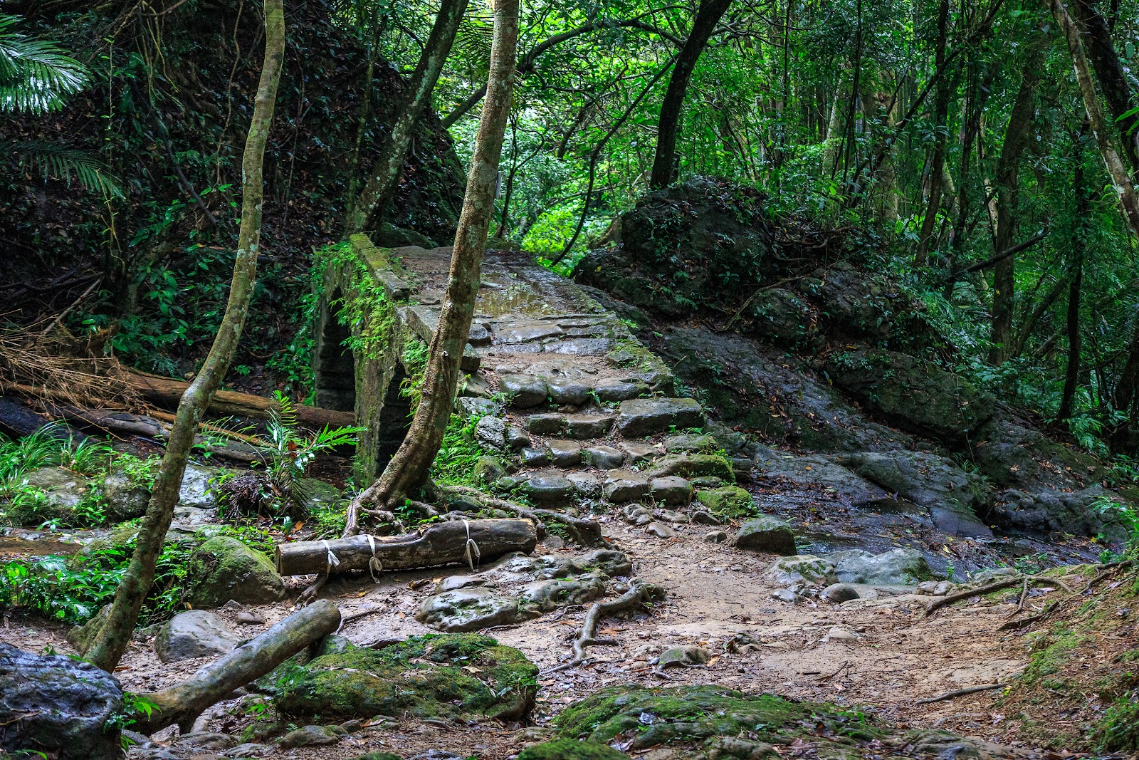 打鐵寮古道苔痕石橋殘跡與石階