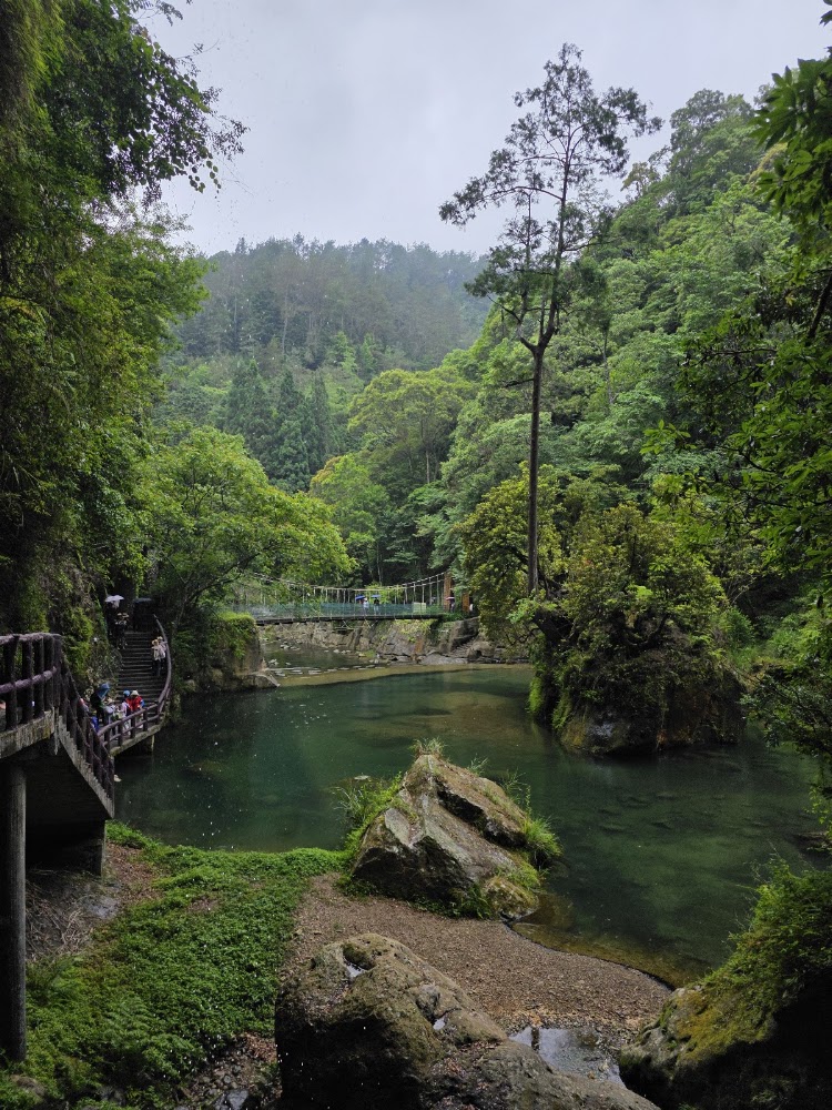 杉林溪山林溪流與步道欄杆
