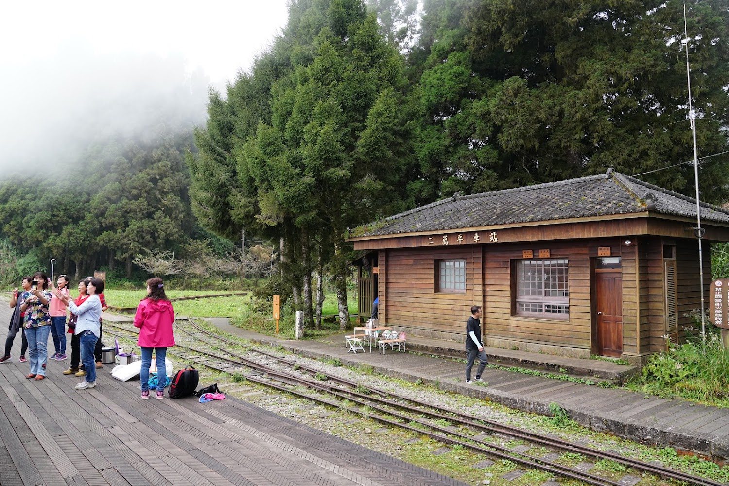 阿里山森林鐵路沿線森林與車道景觀