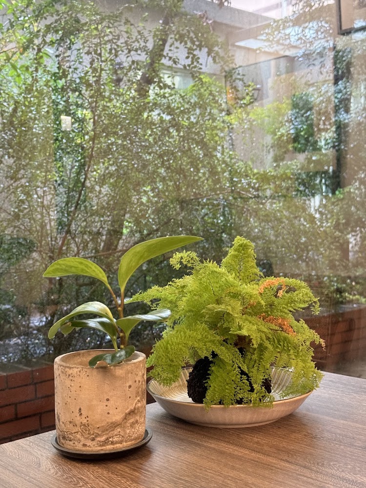 隱園咖啡室內植物與窗景