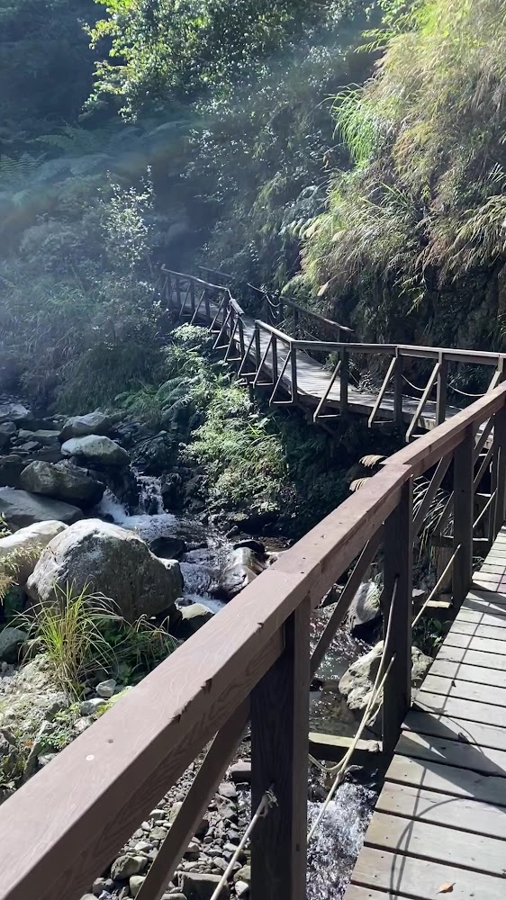 蝴蝶谷瀑布附近跨溪木棧道與森林光影