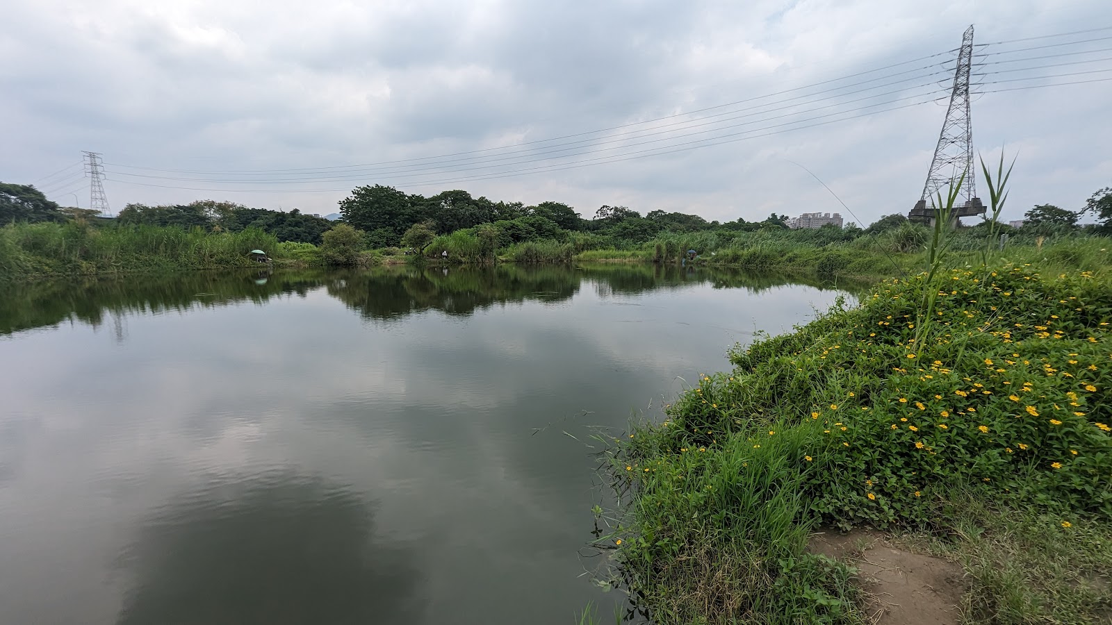土城打鳥埤人工濕地水面倒影，遠處高壓電塔與野花