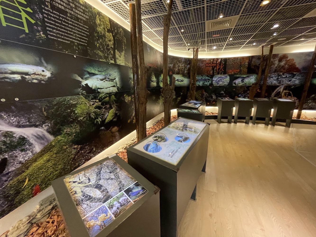 自然主題展覽館內溪流與魚類展示