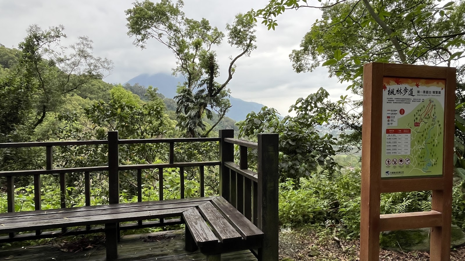 楓林步道360度全景木棧道觀景亭夕陽綠色山谷