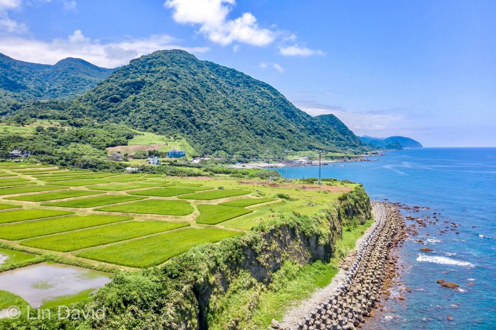 新社梯田水稻田與太平洋海景,花蓮豐濱IG打卡景點