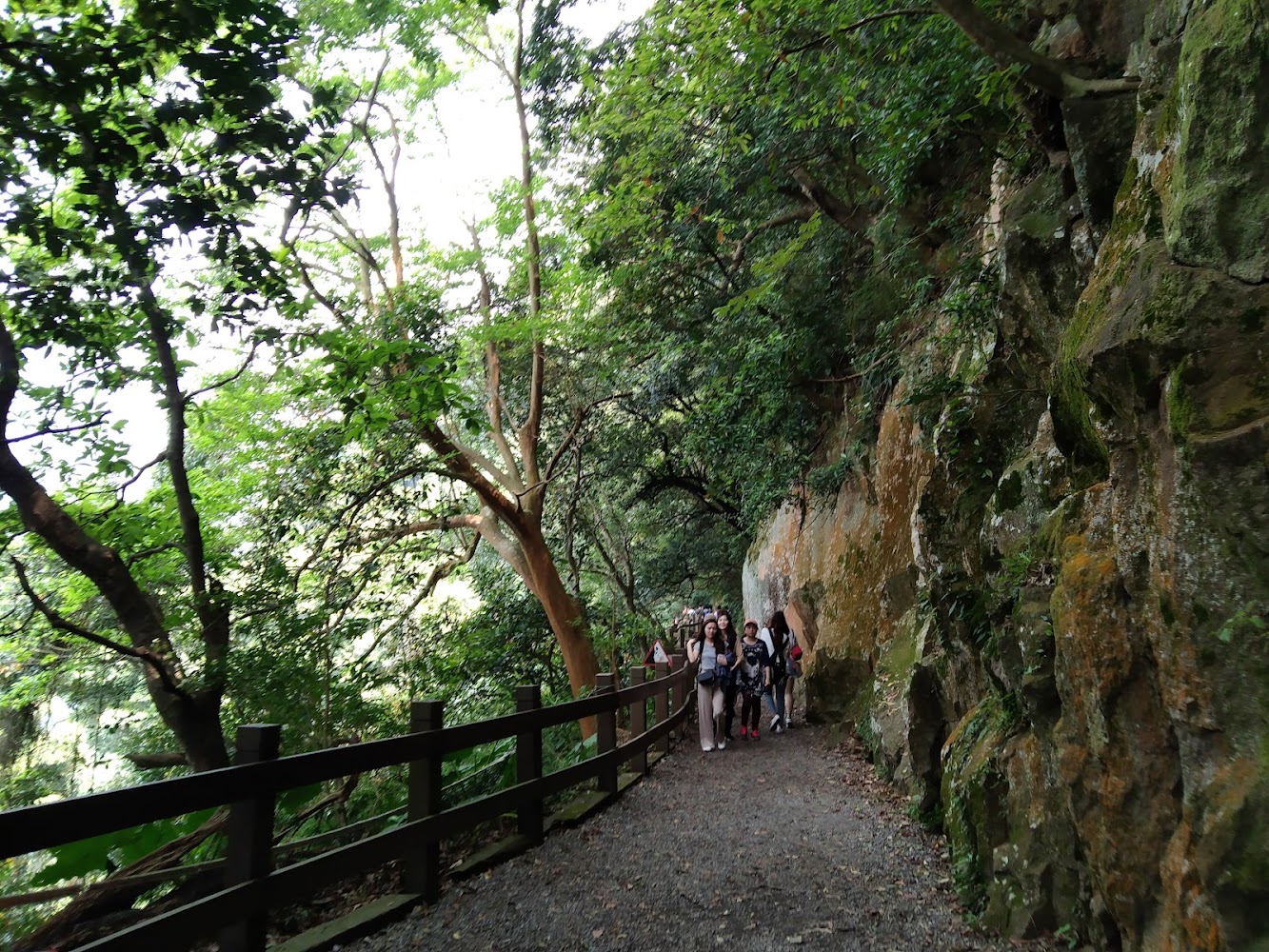 天母古道林蔭步道與青苔岩壁