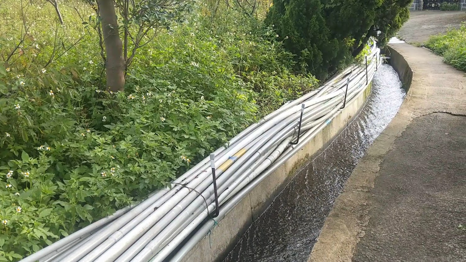 水圳、步道與綠樹景觀