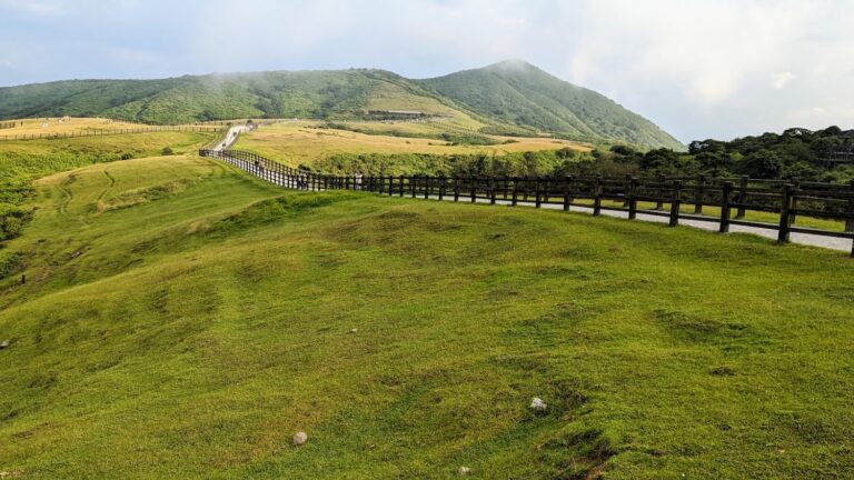 擎天崗草原遠景與步道
