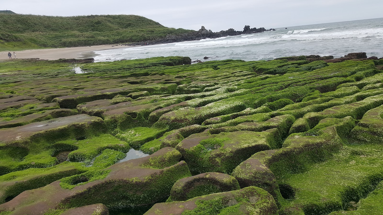 富貴角 礁石 海岸 綠礁 北海岸