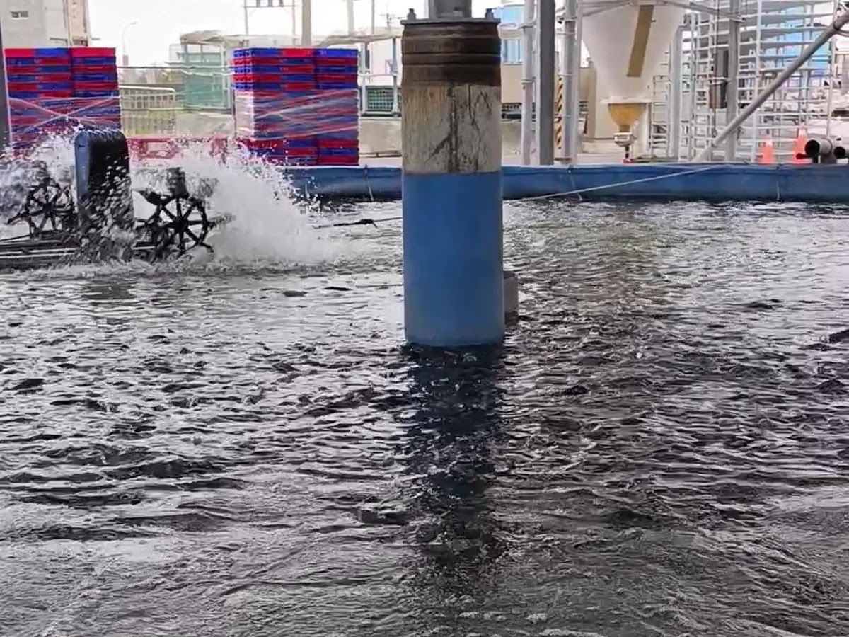 台灣鯛生態創意園區戶外養殖池水車增氧設備運轉激起水花，背景飼料槽與廠房設施