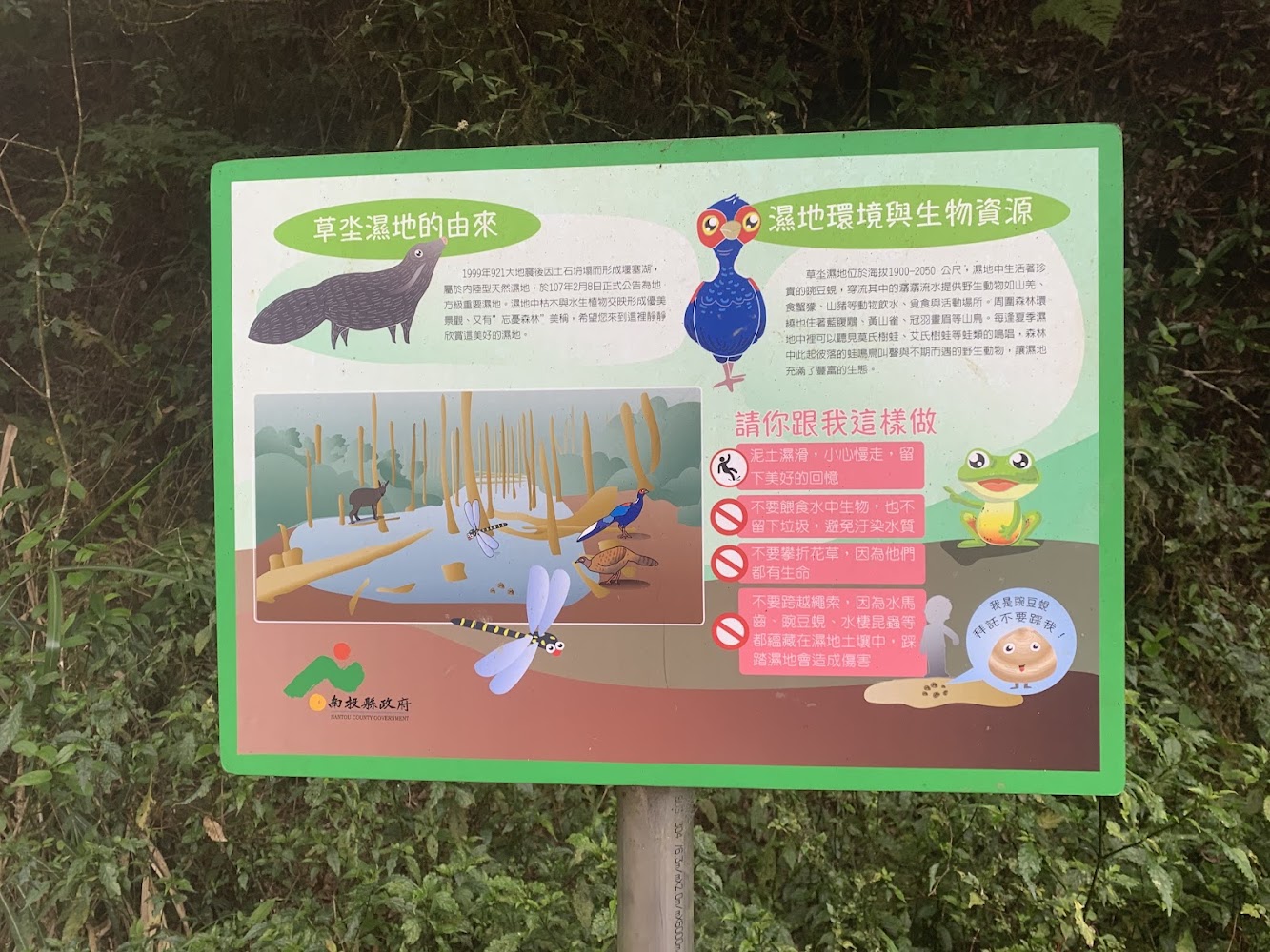 忘憂森林濕地生態告示牌