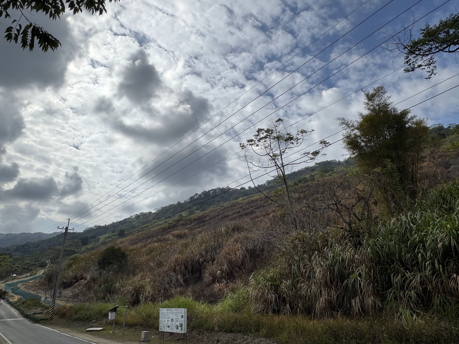 九份二山地震紀念地園區內大規模崩塌區山坡地形