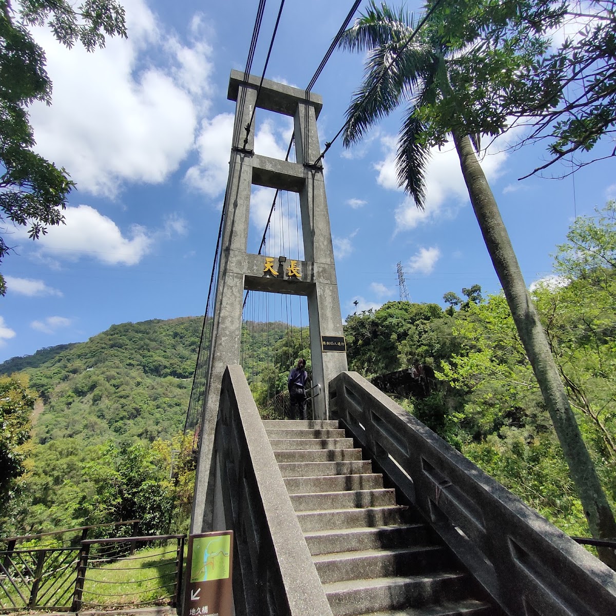 天長橋混凝土橋塔與木棧階梯,藍天白雲,兩側棕梠樹
