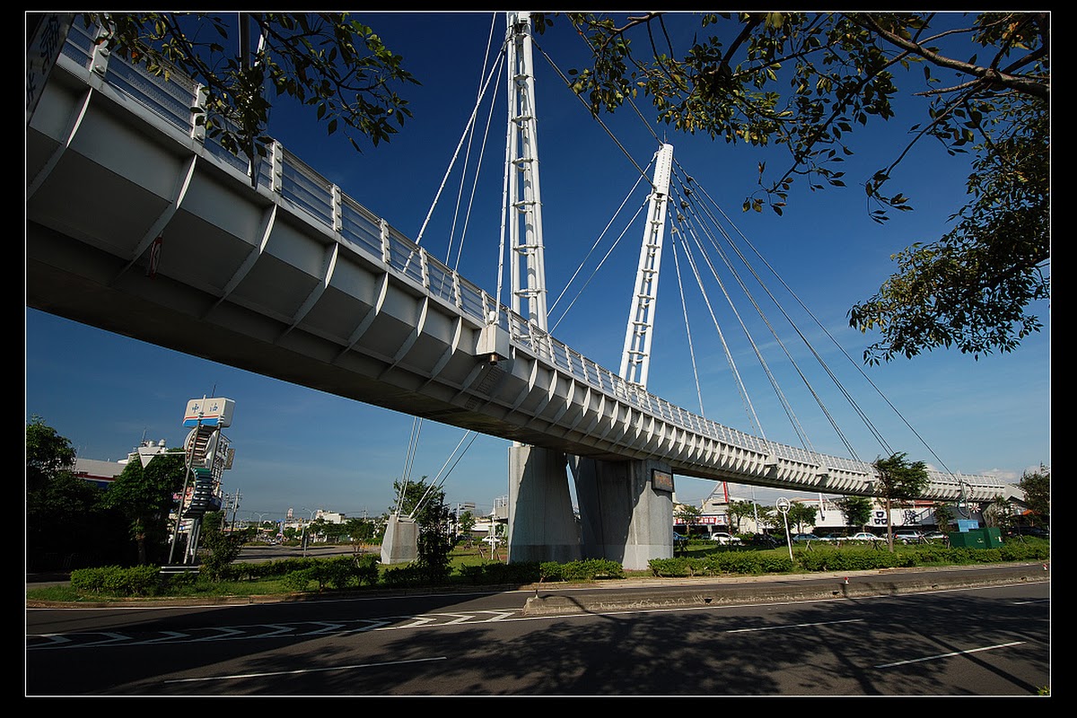 台中沙鹿之翼白色斜張橋仰角拍攝藍天樹木背景