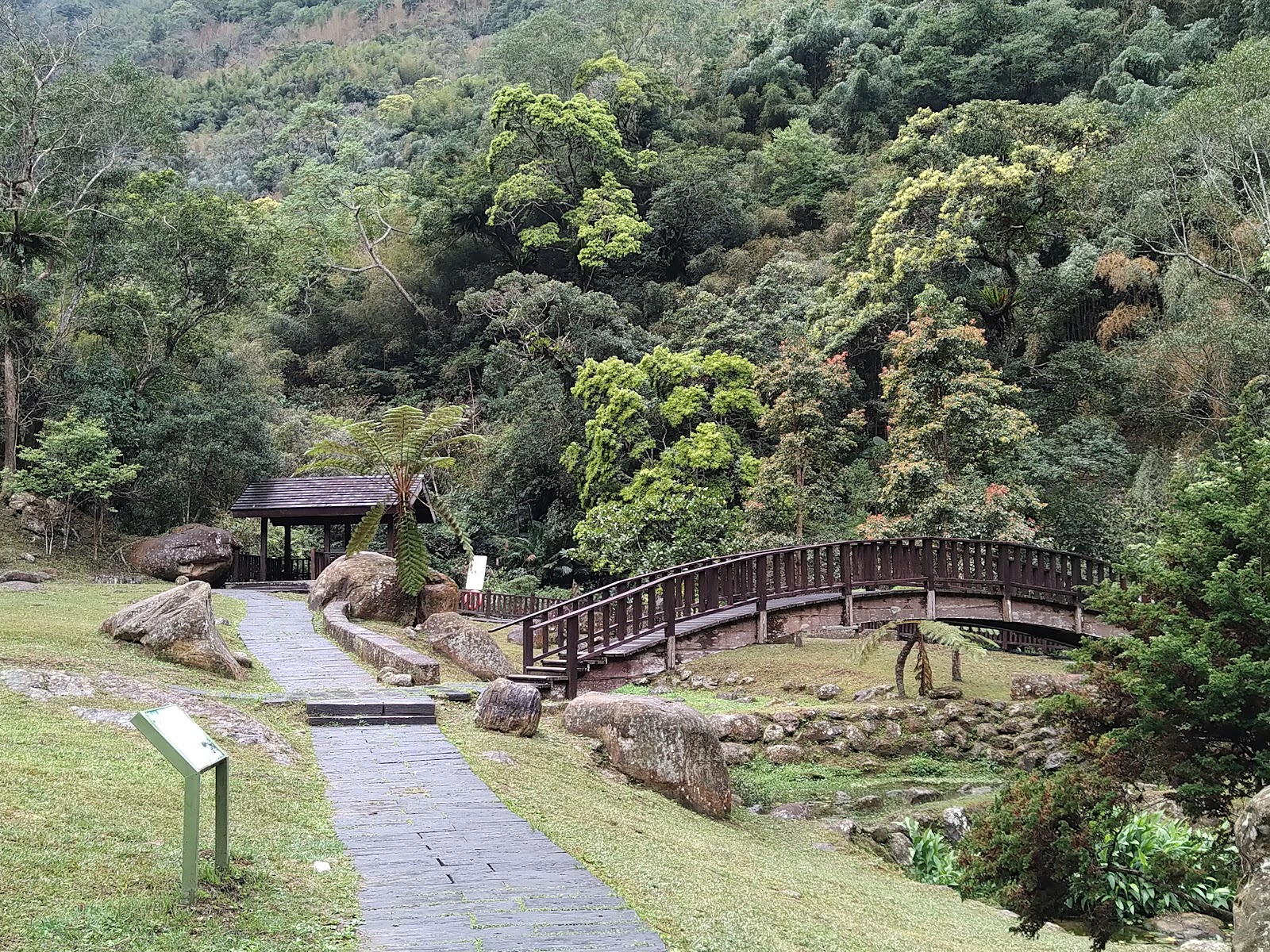 嘉義瑞里圓潭自然生態園區山林清溪景色