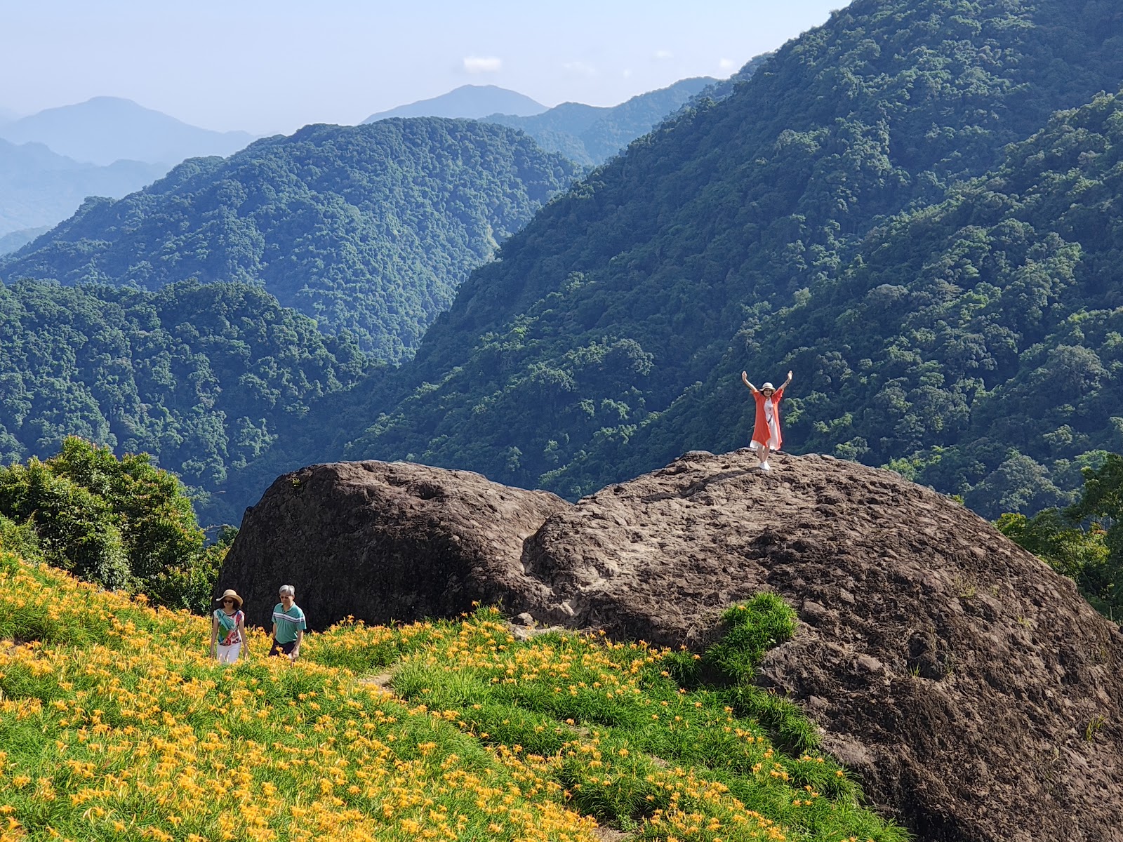 赤科山三巨石,遊客站在岩頂張開雙臂,金針花海與翠綠群山環繞