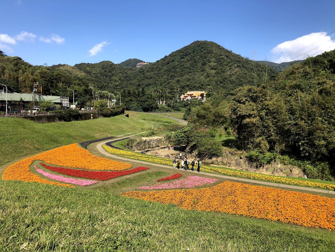 大溝溪親水步道花田景色