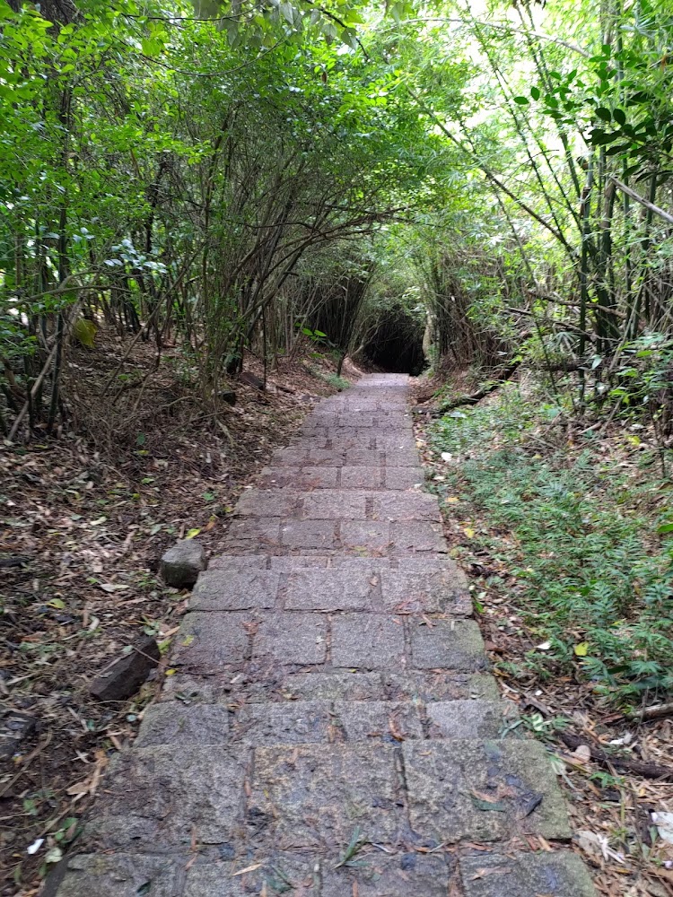 石板小徑通往林間通道