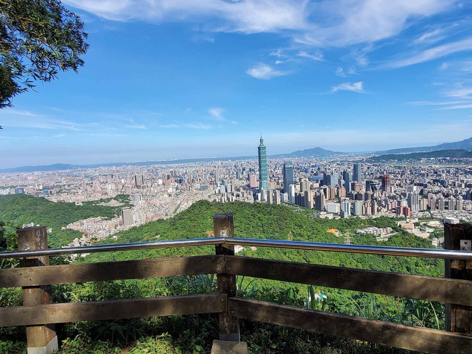 九五峰觀景平台木造欄杆與台北101天際線