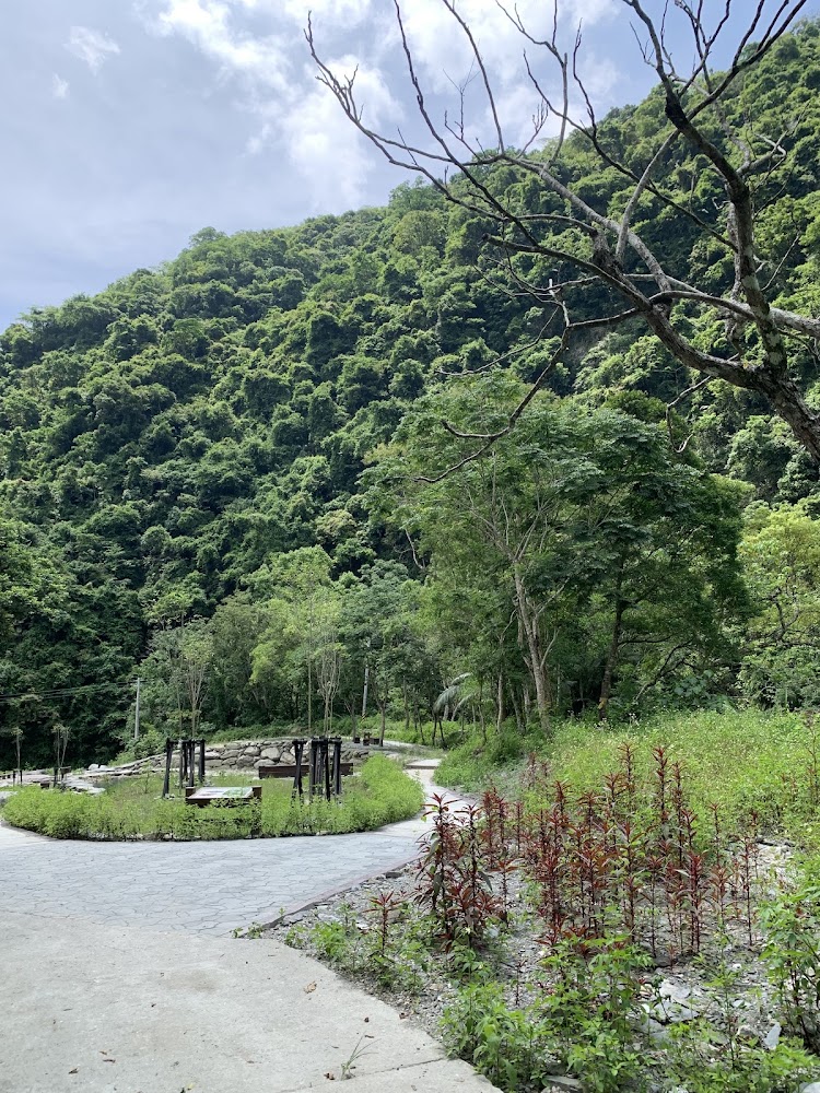 延平蝴蝶谷秘境步道與植物景觀