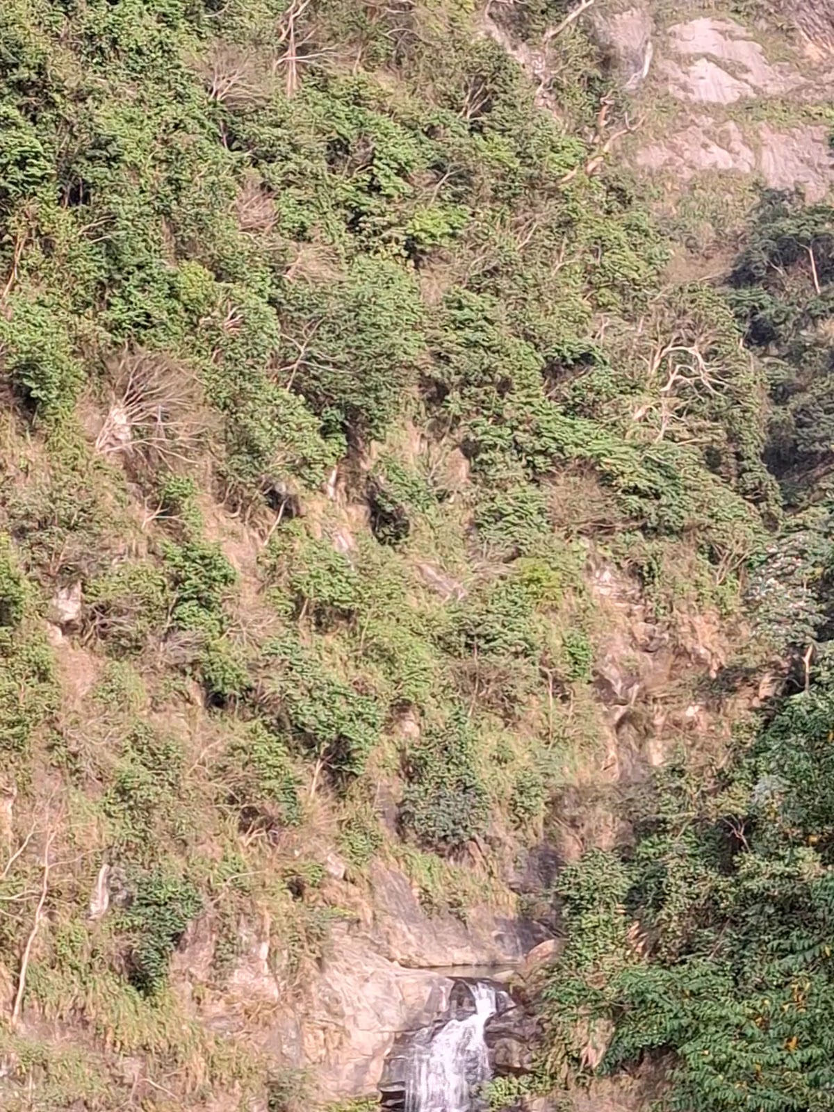 鳳凰谷瀑布從山壁間傾瀉而下匯入水潭