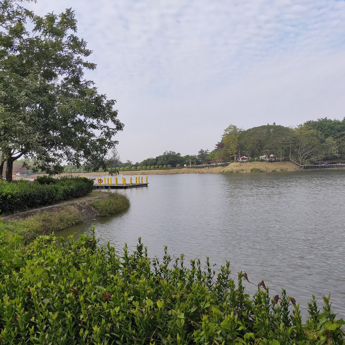 虎頭埤湖邊步道,翠綠灌木叢與黃色浮動碼頭,遠方青翠山丘