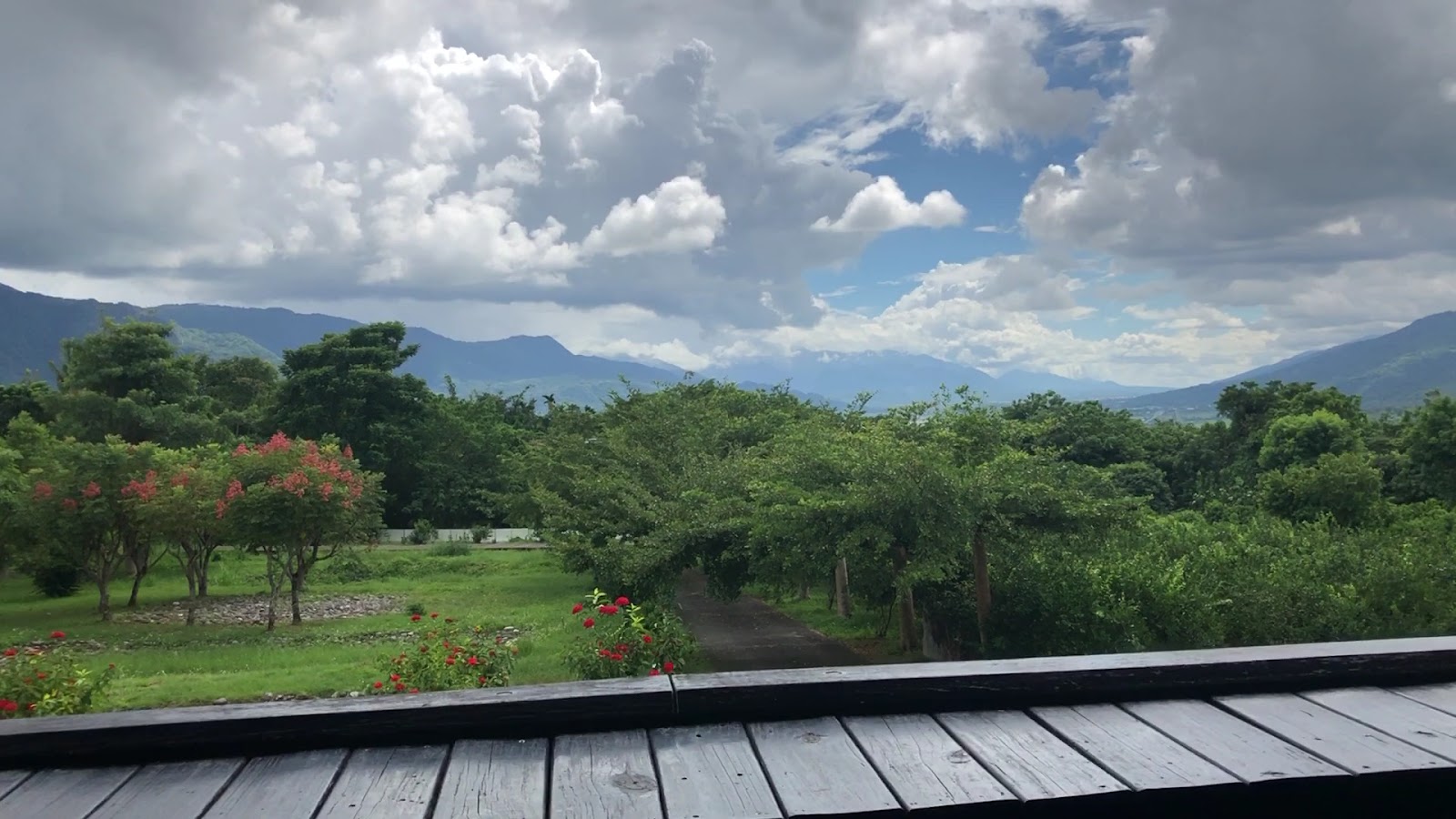 舞鶴茶園戶外露台可眺望山景