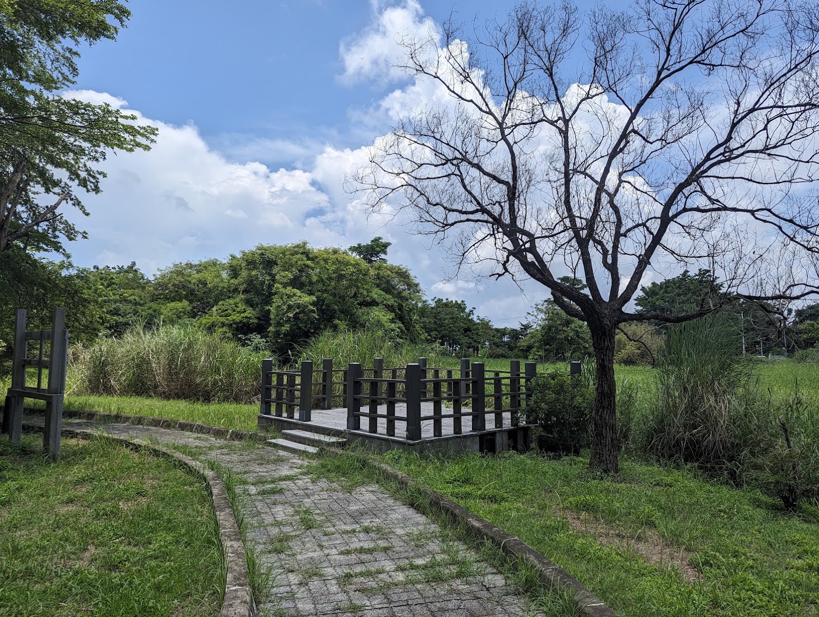 崁頂鄉自然生態公園木棧涼亭與環池步道