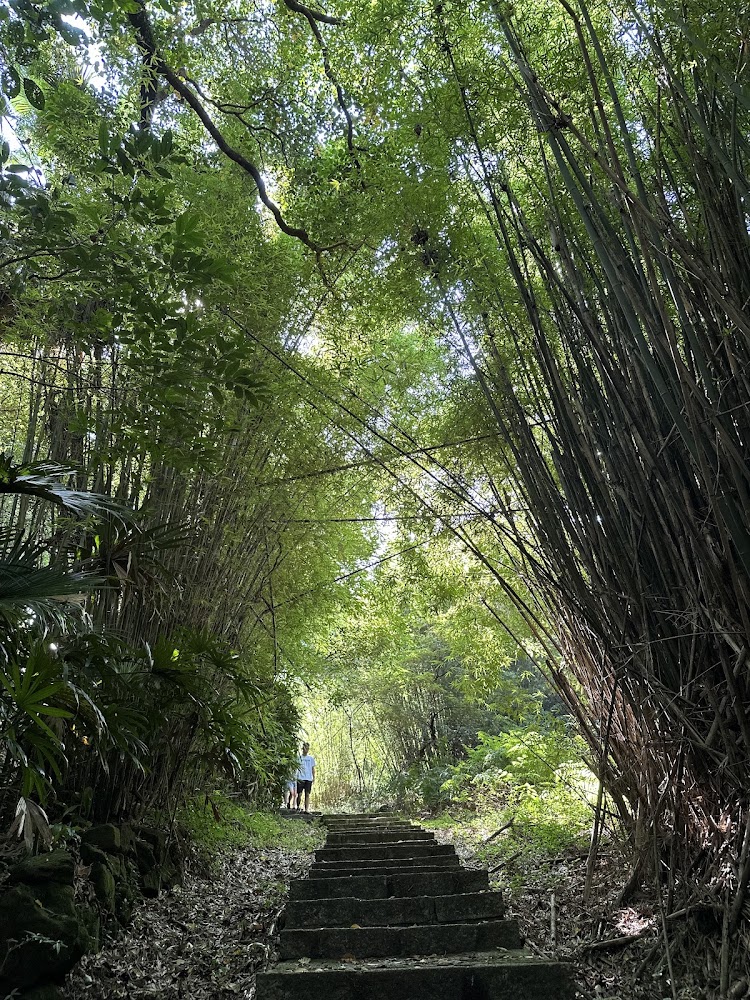 紅壇登山口附近被竹林包圍的石階步道