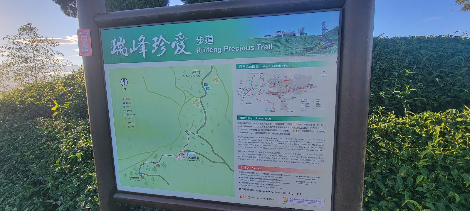 一三一四觀景台茶園遠眺嘉義山景