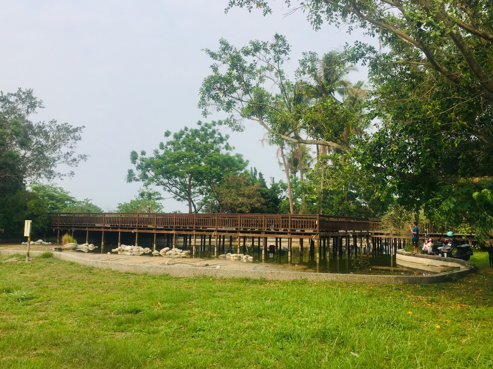 里港河濱公園木棧橋,水面倒影與綠色植被
