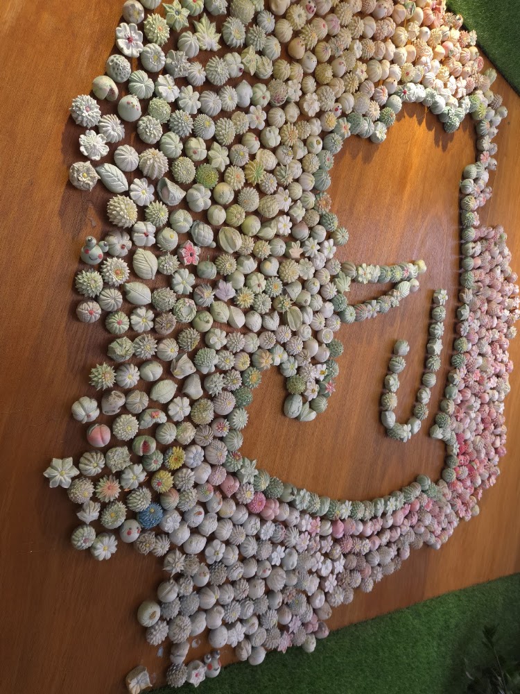 綠11 和洋菓子多肉裝飾藝術