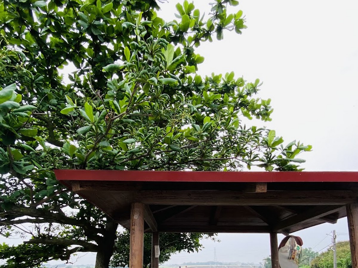 林腳堤岸望溪亭紅瓦涼亭