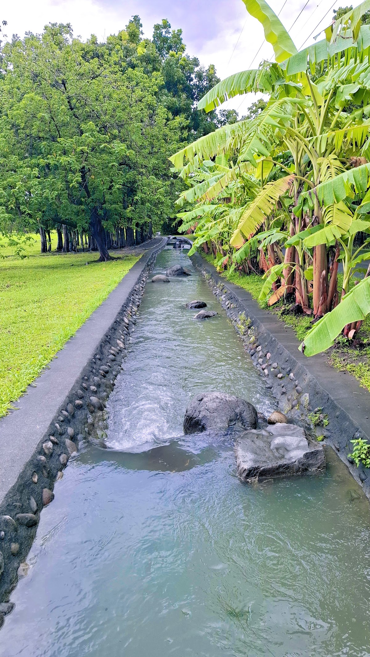 林後四林平地森林園區水圳步道