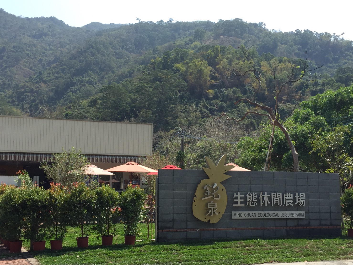 銘泉生態休閒農場入口意象，鳳梨造型招牌與石碑，屏東瑪家鄉佳義村