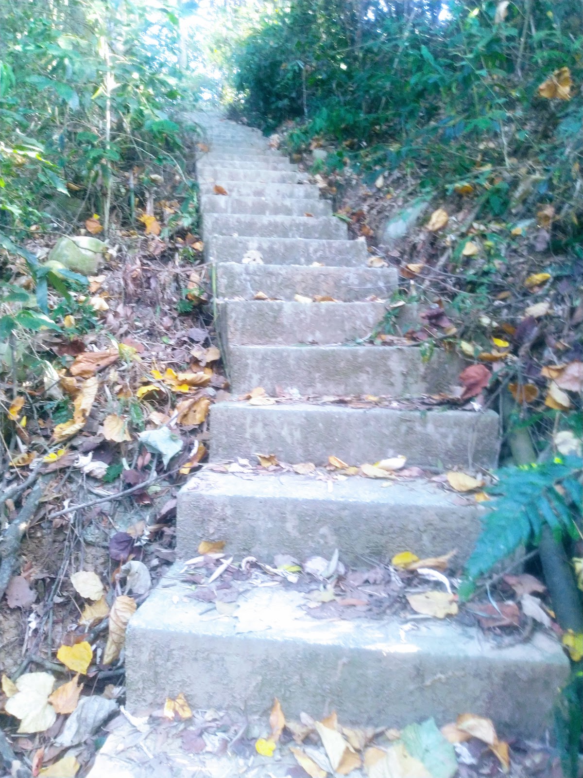 白冷圳矮山支線過水吊橋水泥階梯小徑