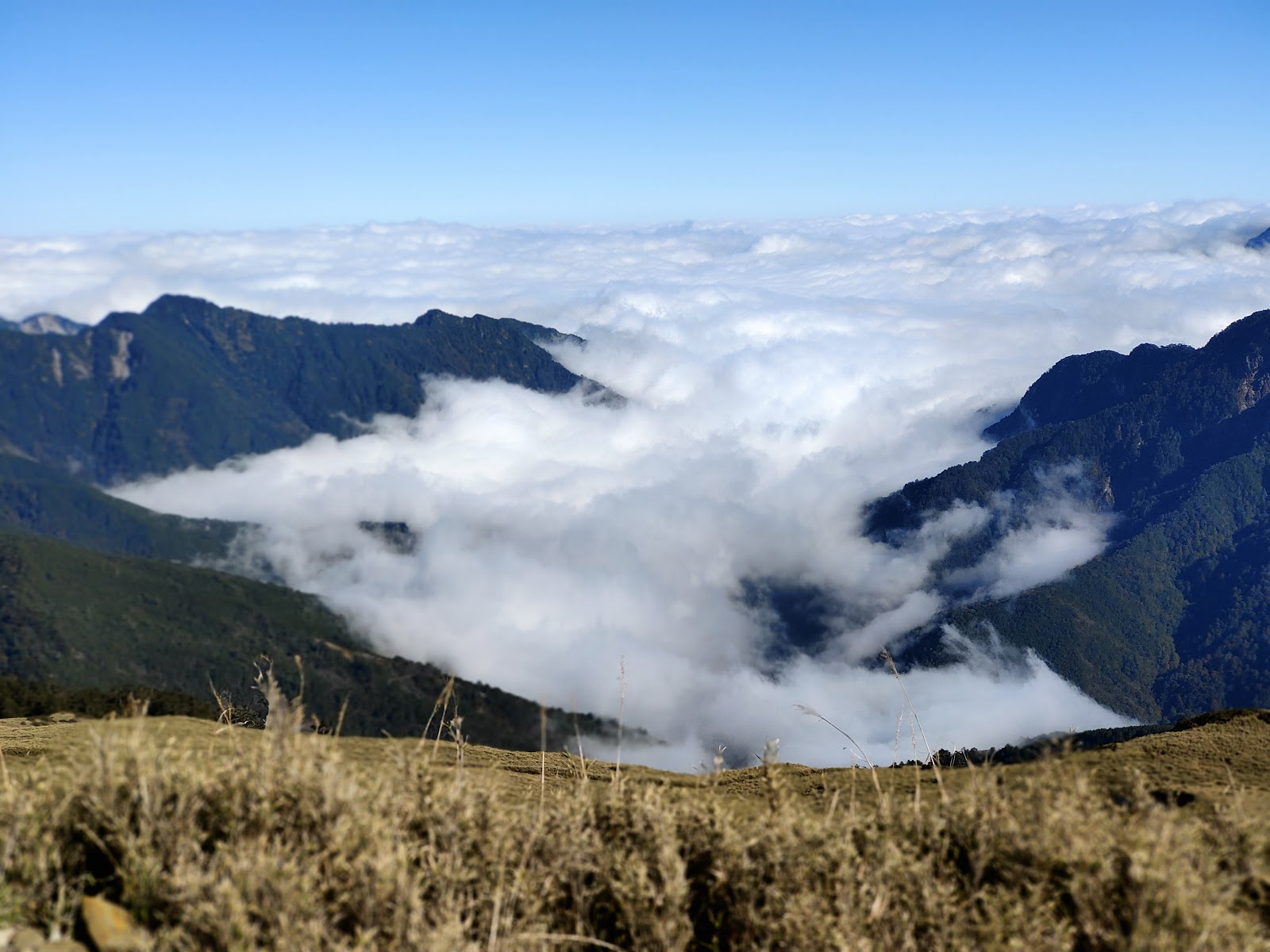 北合歡山頂壯闊雲海景觀,高山雲海翻騰如棉絮鋪滿山谷