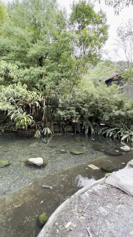 森林溪流與石板步道