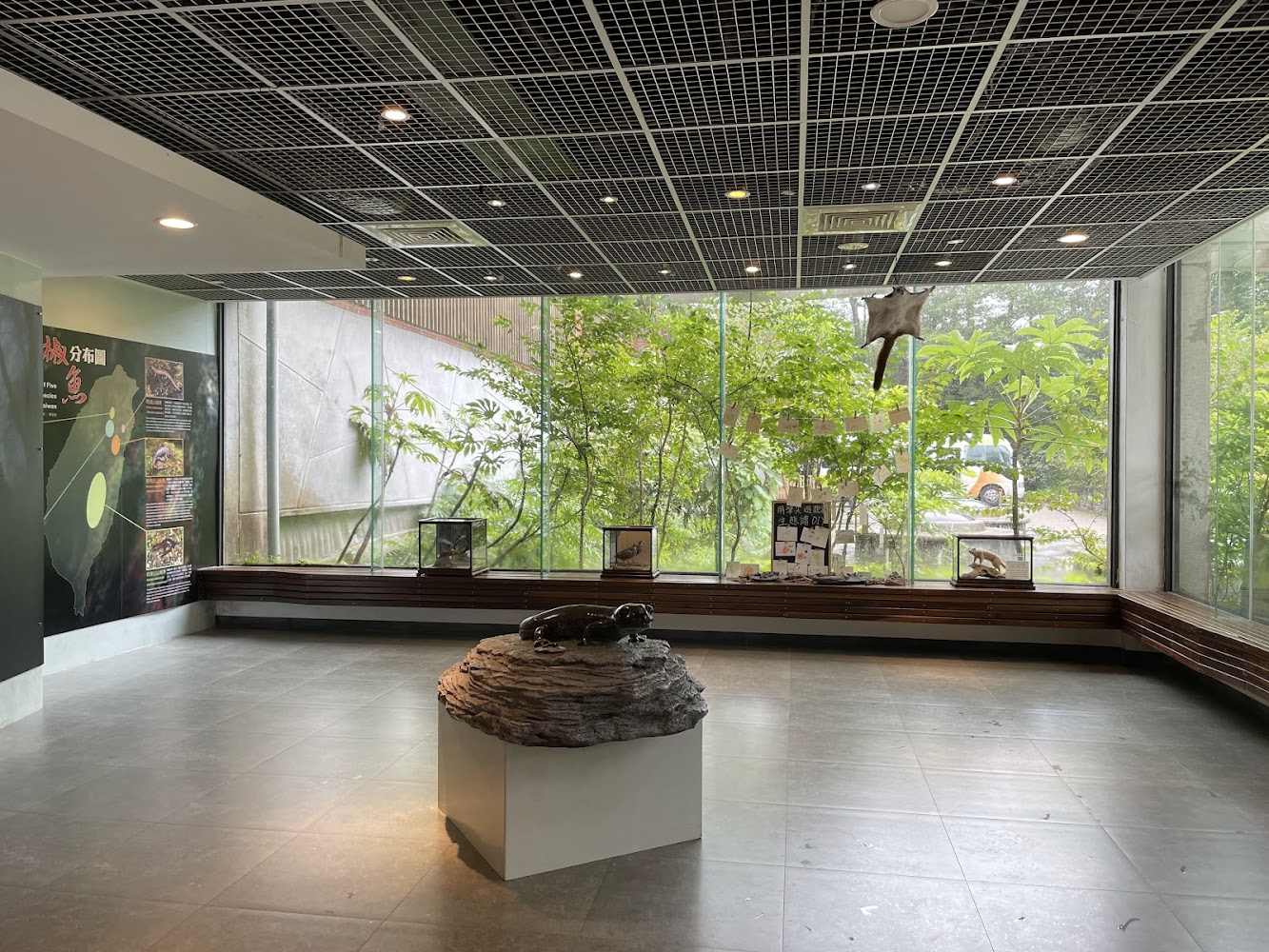 館內展示空間與動物模型