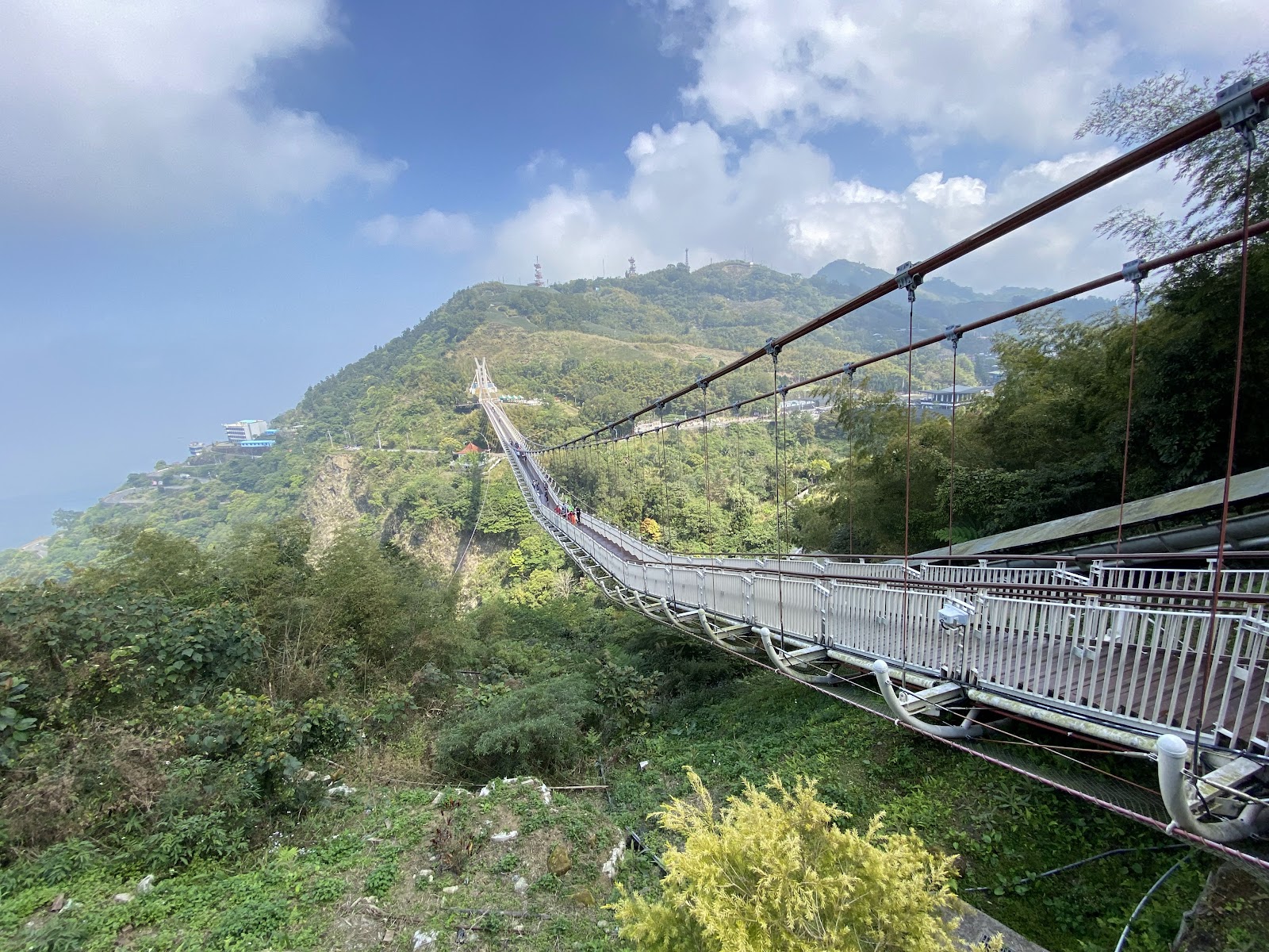 一三一四觀景台嘉義高山茶田遠眺美景