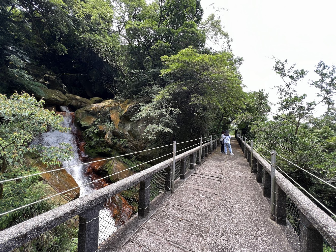 森林步道橋與溪流瀑布