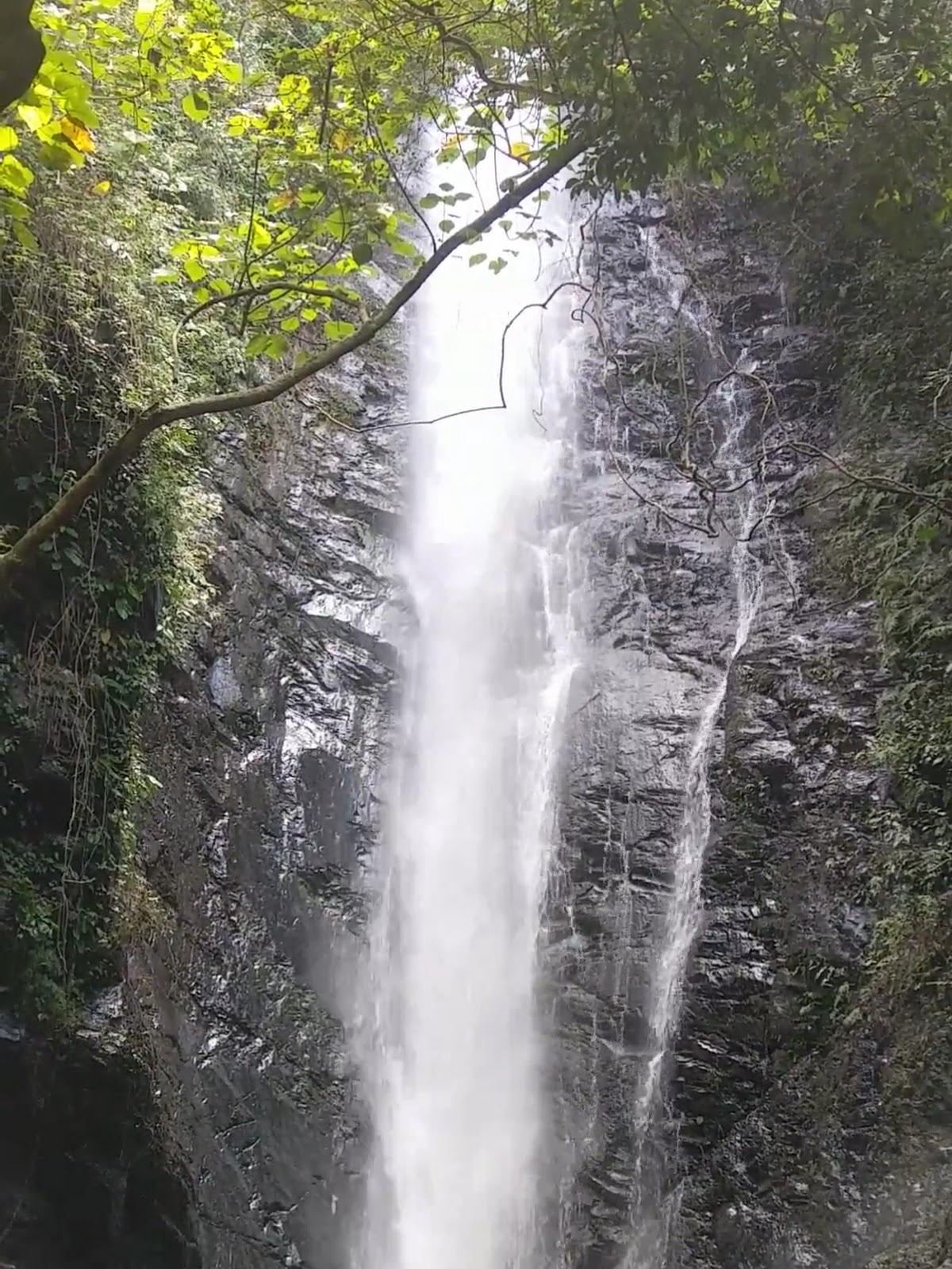 大津瀑布步道沿線遠眺屏東平原田野景色,橘色屋頂建築點綴其中