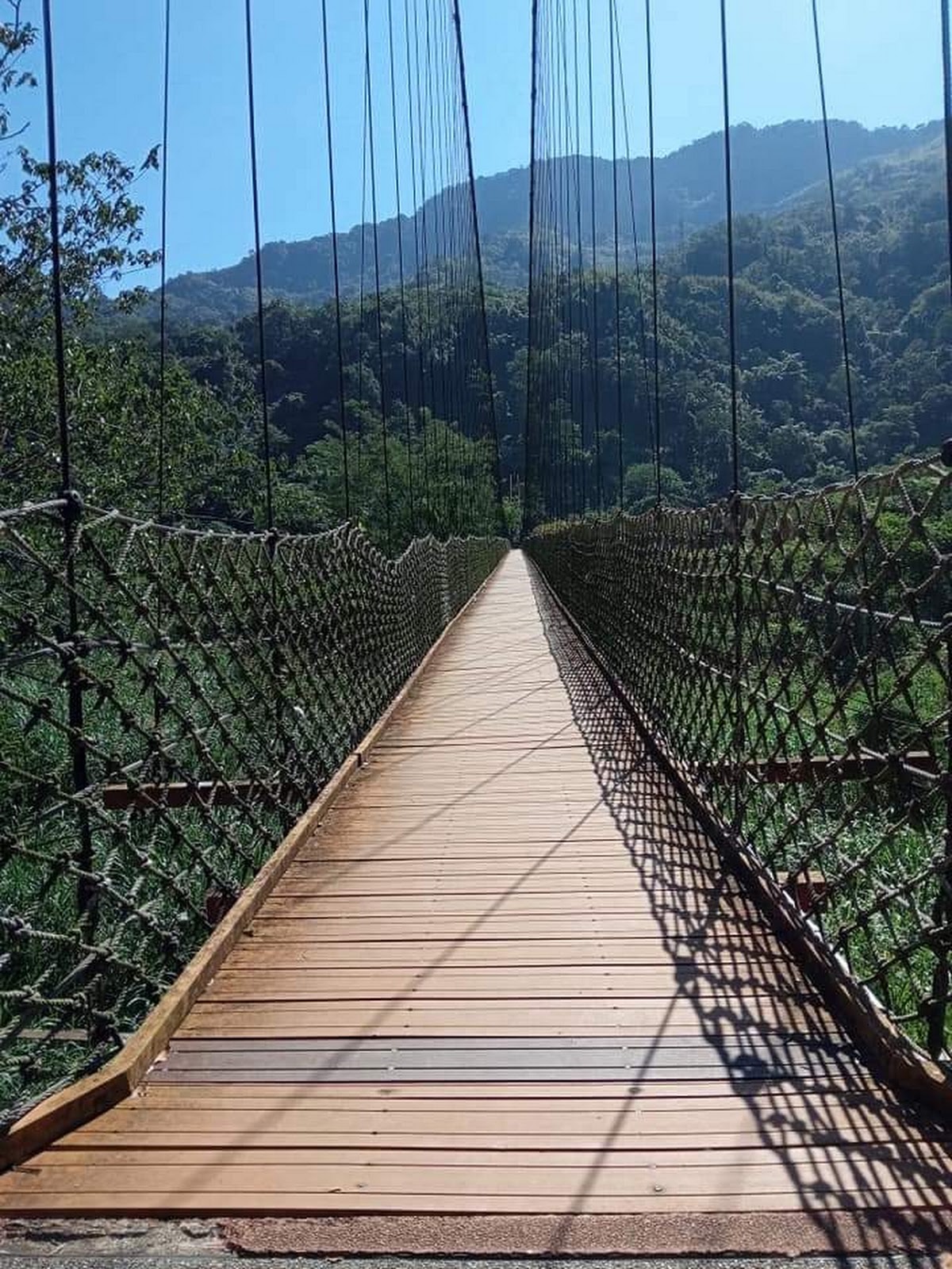 情人橋吊橋木棧道遠望視角,兩側繩網,遠方山巒