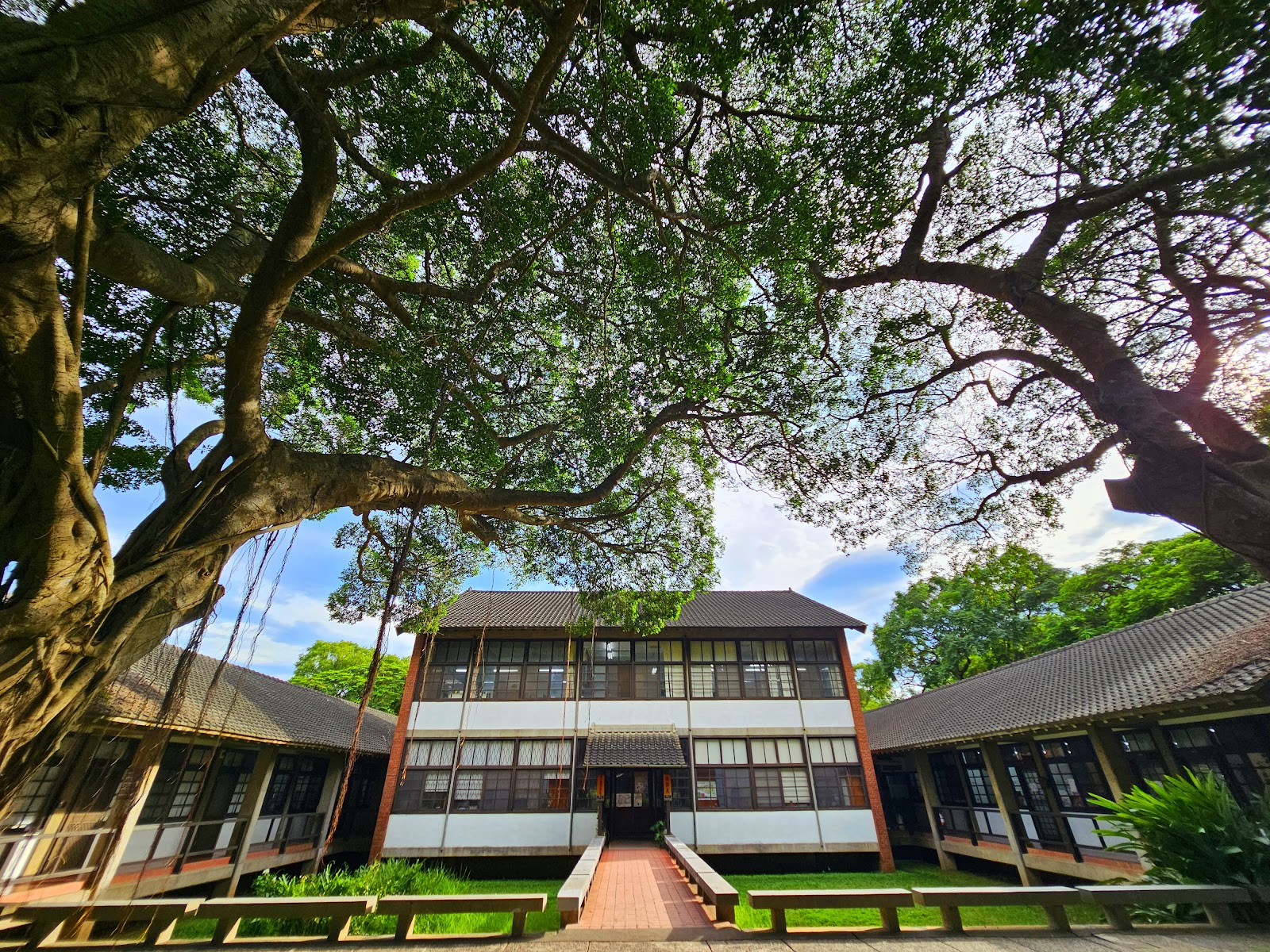 東海大學傳統中式校舍，黑瓦屋頂，大榕樹遮蔭，紅磚步道