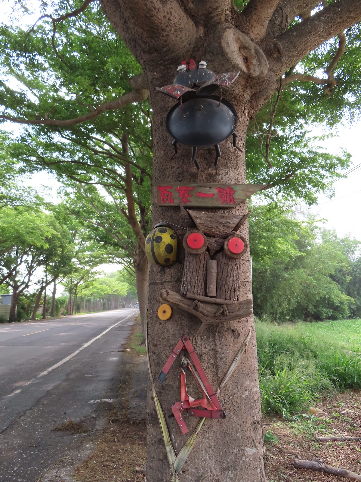 太康綠色隧道路旁樹幹上的導覽標示牌