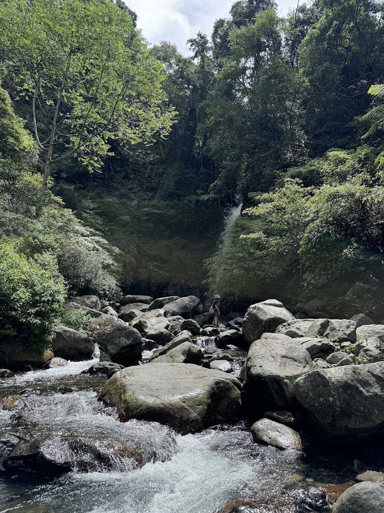 蝴蝶谷瀑布登山口沿線清澈溪流與森林大石景觀
