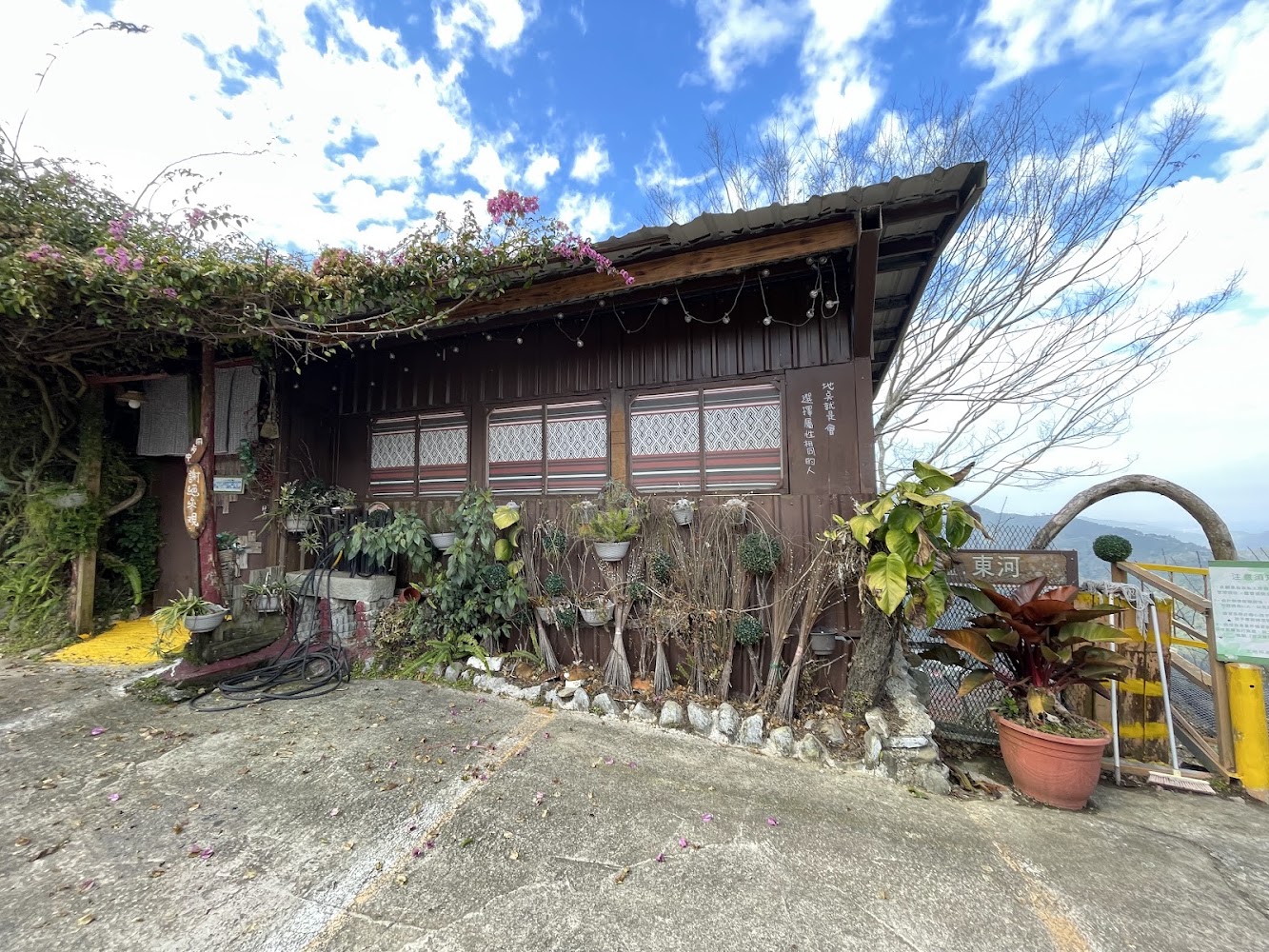 木造小屋外有盆栽與藤蔓屋頂的自然風格建築