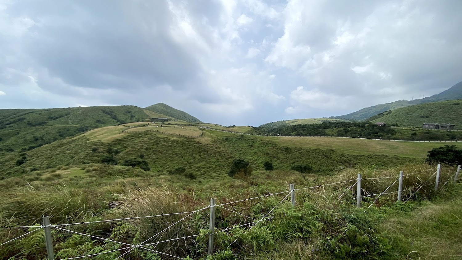 寬闊綠色山丘與草原景色