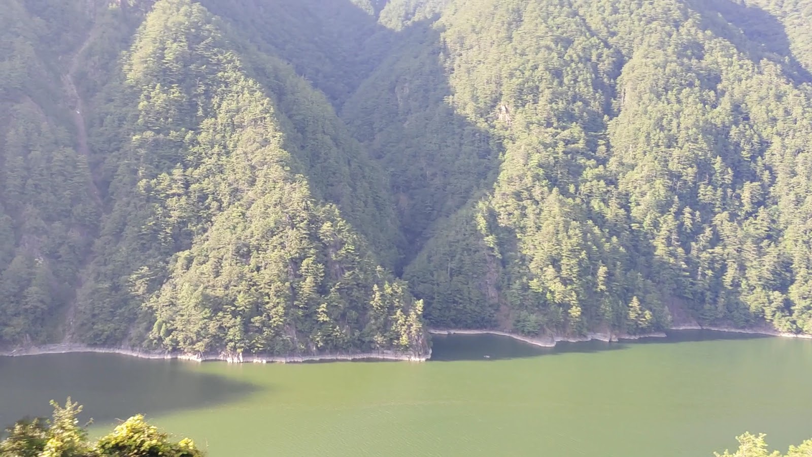 德基水庫墨綠色水面與對岸V字形松林山峰對峙