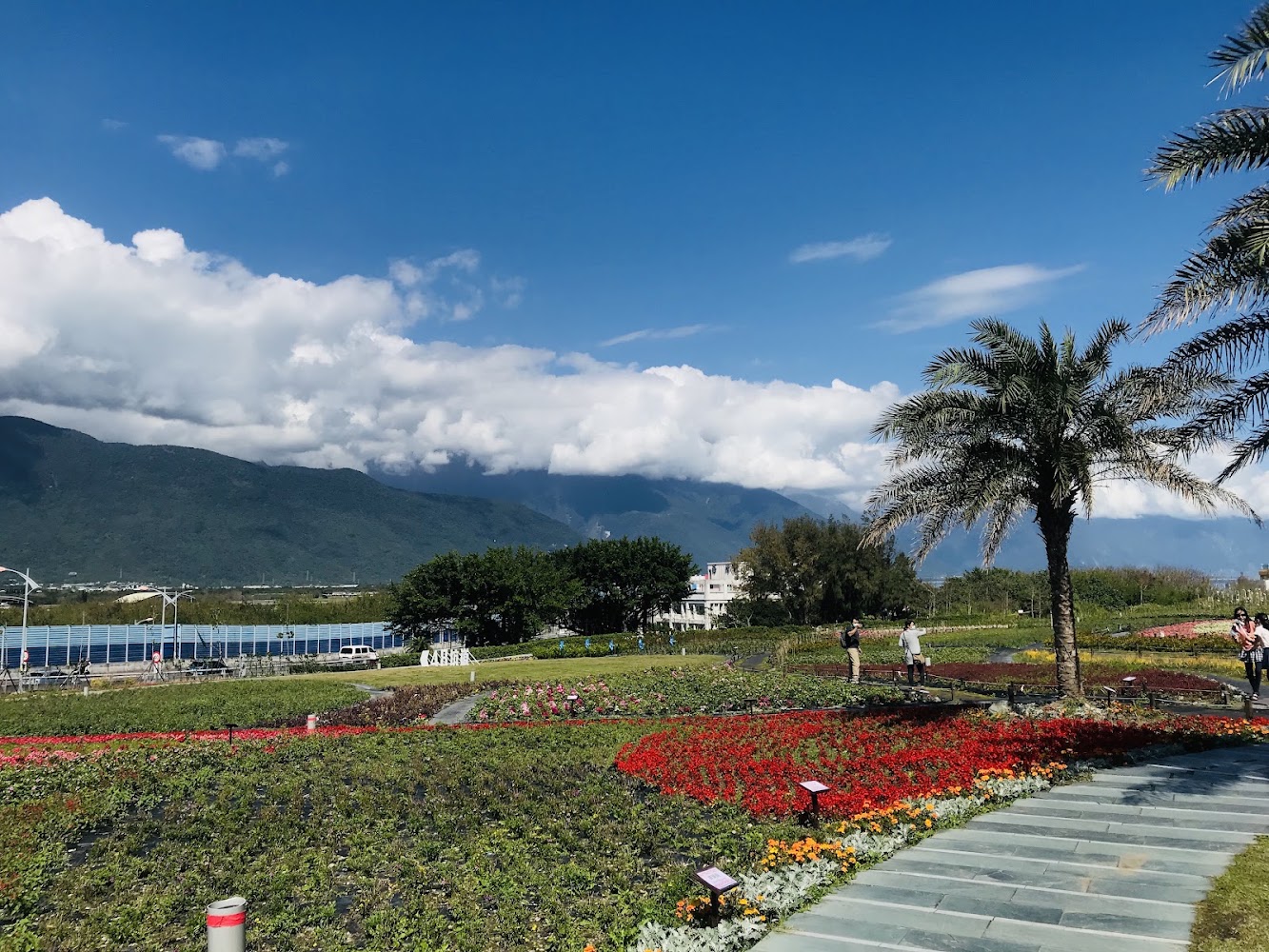 曼波海洋生態休閒園區花園景觀